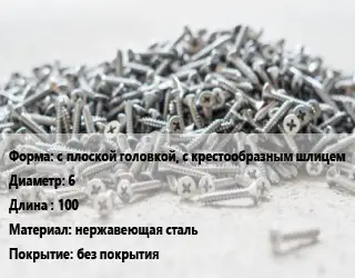 Шуруп с плоской головкой, с крестообразным шлицем 6х100 нержавеющая сталь без покрытия